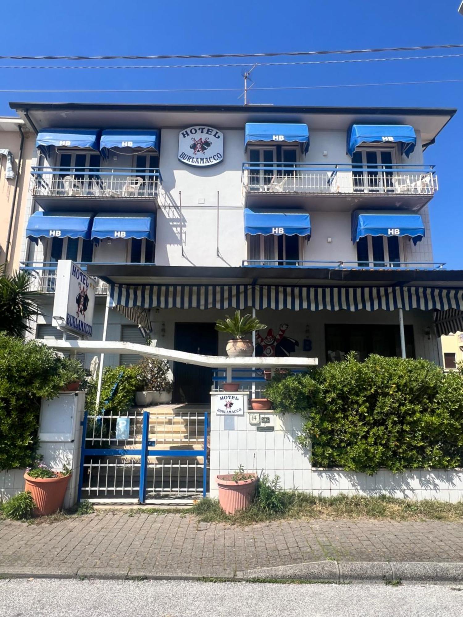 Burlamacco New Lido di Camaiore